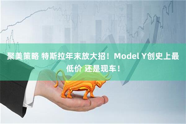 聚美策略 特斯拉年末放大招！Model Y创史上最低价 还是现车！