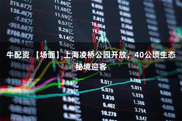 牛配资 【场面】上海凌桥公园开放，40公顷生态秘境迎客